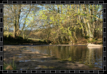 Riverside
